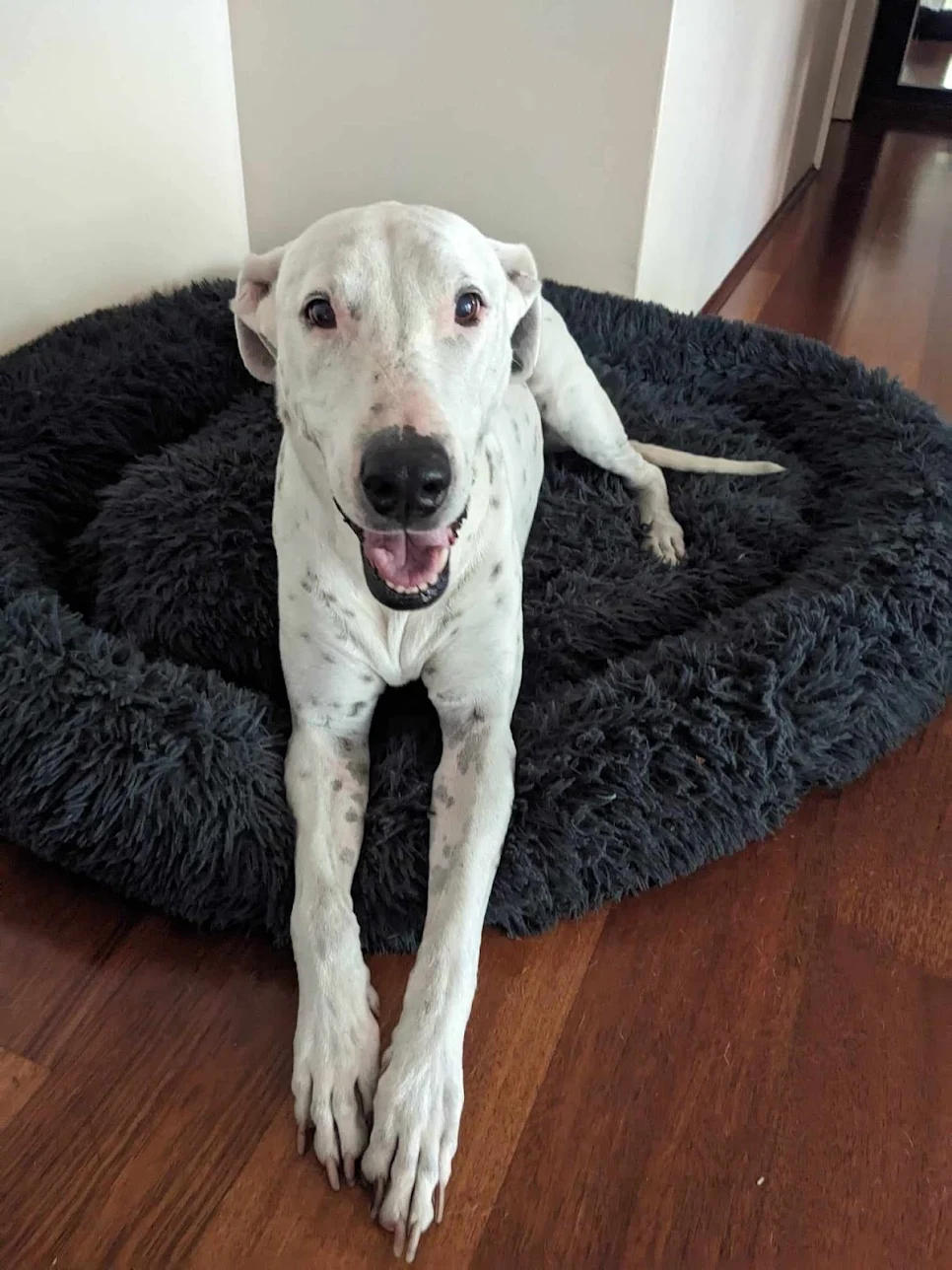 Review image 1 from Lisa Ives